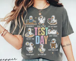 Comfort Colors Test Day You Got This Testing Shirt Comfort Colors, Teacher State Testing Tee, Teacher Testing Tshirt, Goose Testing Coordinator Shirt, Test Day Tee