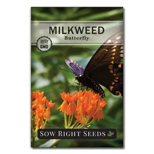 Butterfly Milkweed Seeds