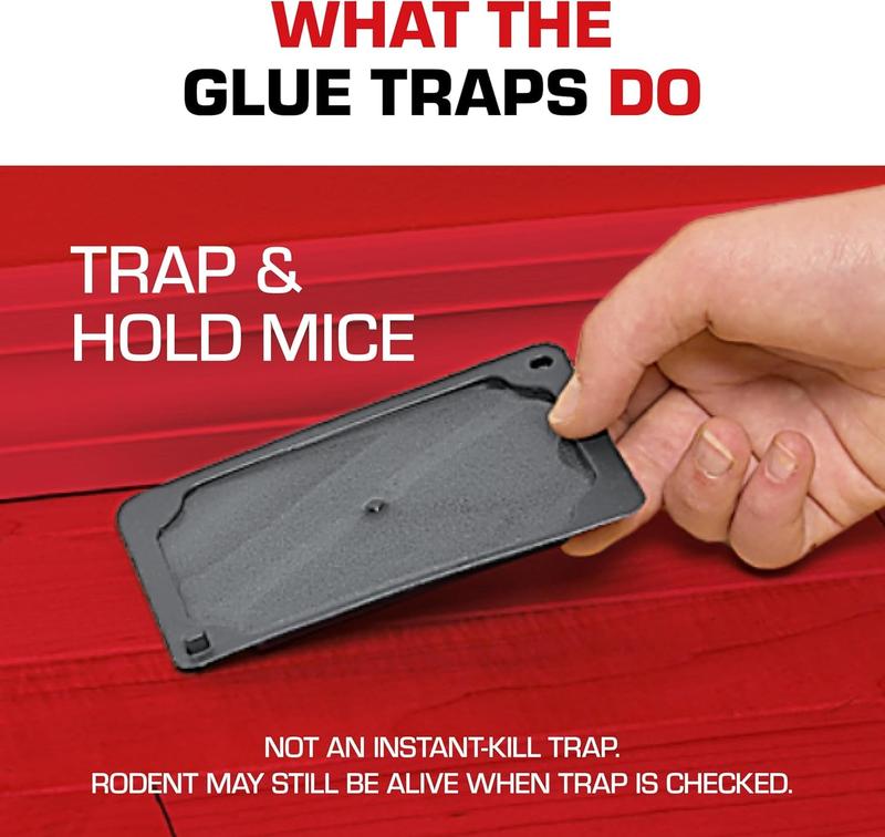 Tomcat Glue Traps Mouse Size with Eugenol for Enhanced Stickiness for Mice Cockroaches and Spiders 6 Traps US Made
