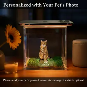 Pet Holographic Lumina Boxes For Cats, High-Transmittance Holographic Material Image DIY Pet Holographic House