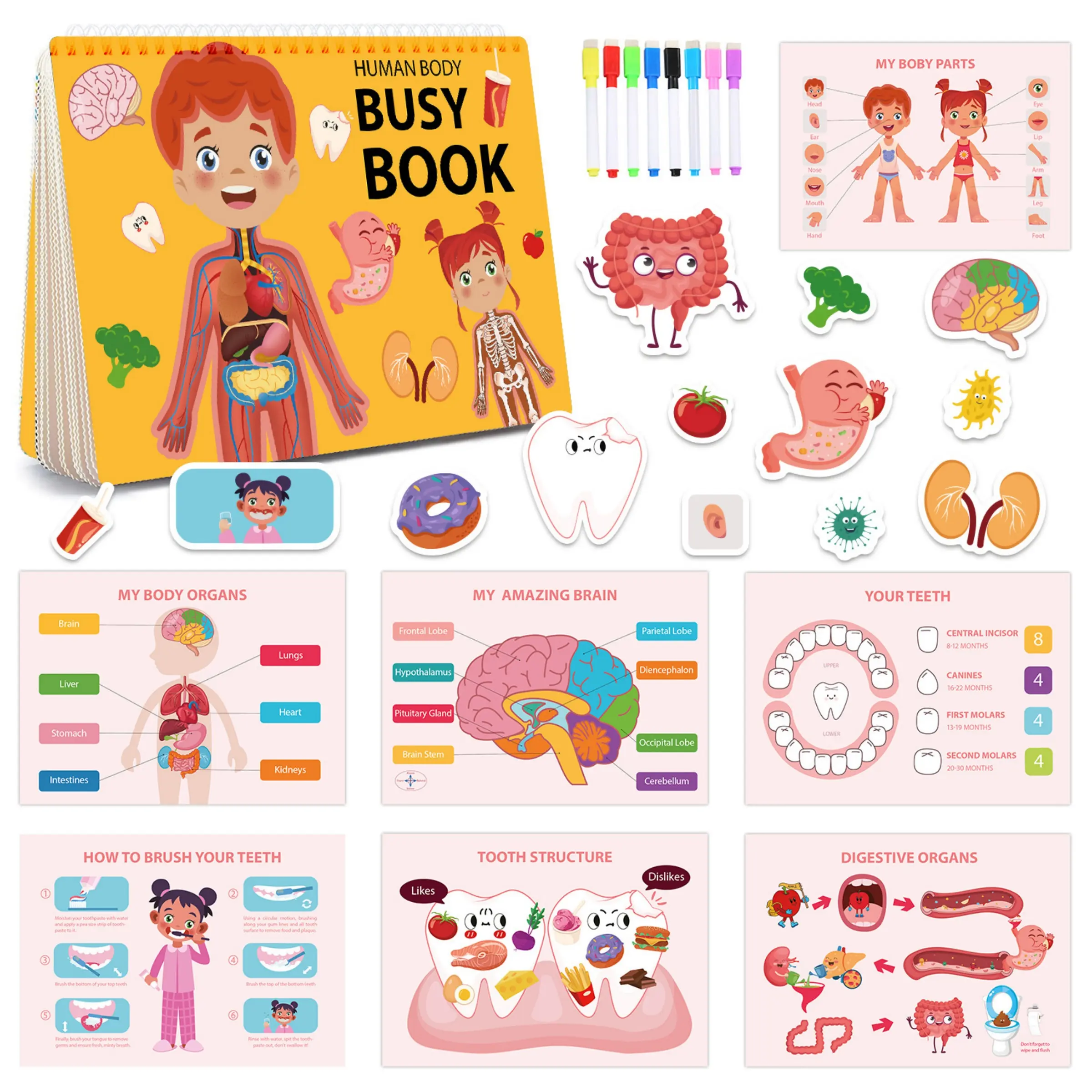 Busy Book Gift Set, Toddler Busy Book, Toddler Activity Books, Body Structure Learning Theme, Preschool Cognitive Early Education Toy, Reusable Sticker Books for Kids