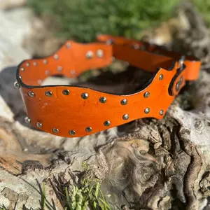 Western Studded Dog Collar - Saddle Tan Leather with Silver Studs for Stylish Pet Accessories