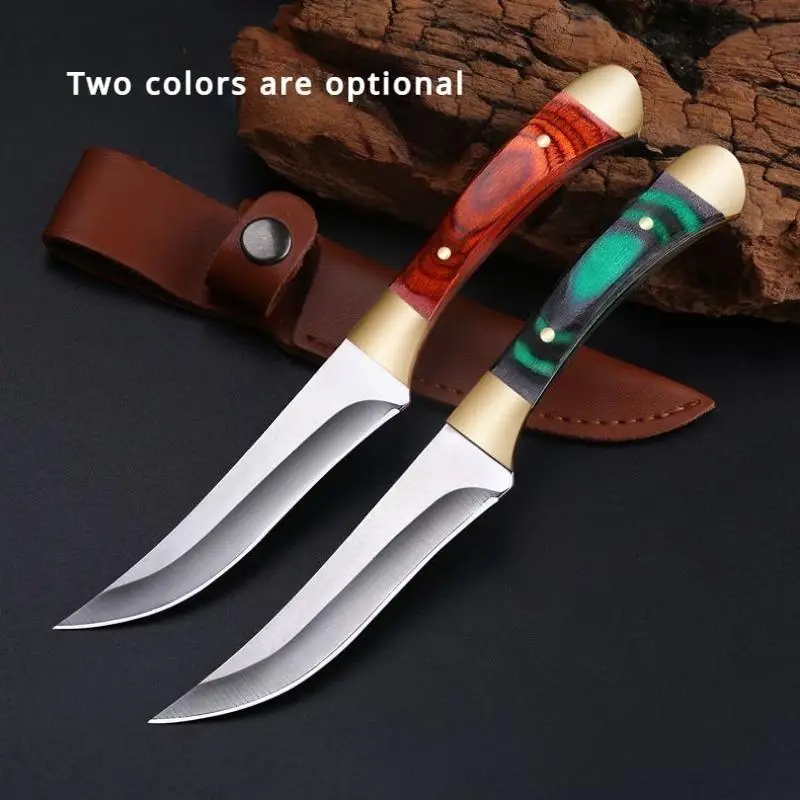 Stainless Steel Kitchen Knife, 1 Count Fruit Knife with Wooden Handle, Multipurpose Knife for Outdoor Barbecue & Camping, Kitchen Accessories