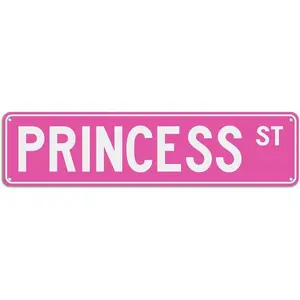 T&R Pink PRINCESS ST Sign, 16 x 4 inches .040 Aluminum, Room Decor for Girls Cave, Bedroom, Dorm, Wall, 4 Pre-drilled Holes