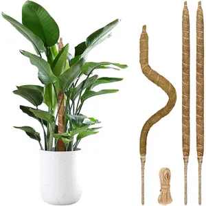3 Pack Moss Pole Monstera  Support, 28 Inch Bendable Moss Poles for Climbing  with 20 FT Jute Ropes, Coco Coir Moss Pole Kit Support for Indoor Potted , Pothos, Philodendron