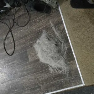 IndigoPet Hair Removal Broom