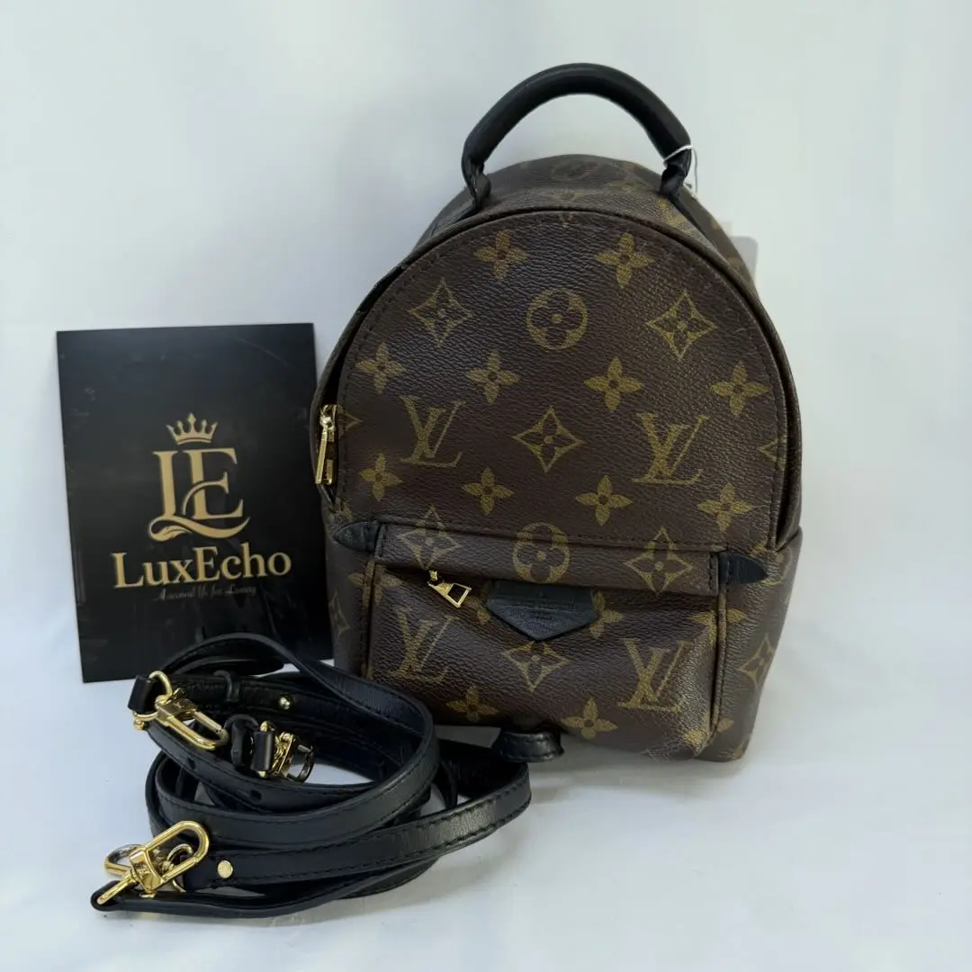 Pre-owned Louis Vuitton Palm Springs Mini Backpack Monogram Canvas Bag