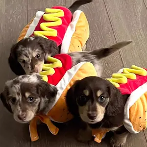 Pet Dachshund Clothing Hot Dog Transformation Clothing Dog Cat Warm Hamburger Clothing Sweater Large Dog