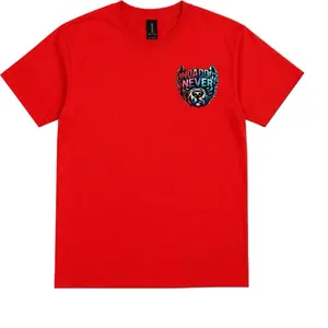 UNDADOGZ NEVER LOSE Signature Boys' T-Shirt, All Sizes, Kids' Fashion Top
