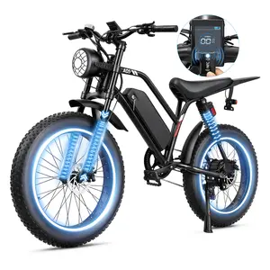 Peak 1500W motor, 48V15AH detachable battery (60–80mi range). 20×4.0" fat tires, 31MPH top speed, 80N・m torque, 30° climb. Full suspension, hydraulic brakes, LED headlight & turn signals. Dual charging, LCD 5 assist/7-speed. 330LBS load, bike 81LBS