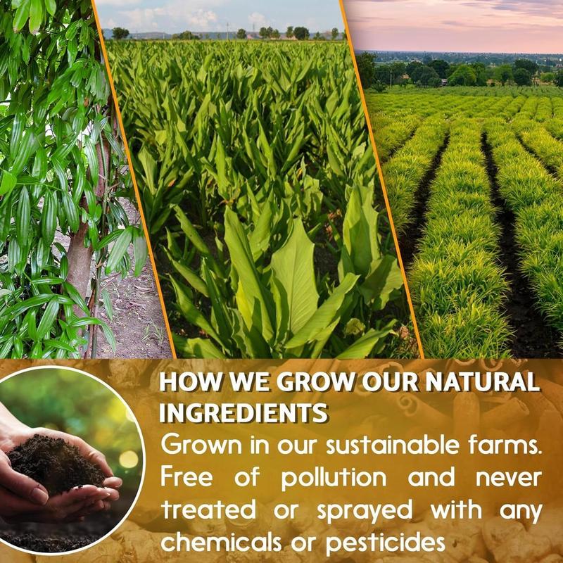 120 Bags Premium Turmeric Ginger Cinnamon Tea, Improve Digestion, Support Brain, Weight, Skin and Sleep, Eco-Conscious Tea Bags and Premium Natural Ingredients. Turmeric Ginger Herbal Tea. No Sugar, No Caffeine, No Gluten, Vegan.