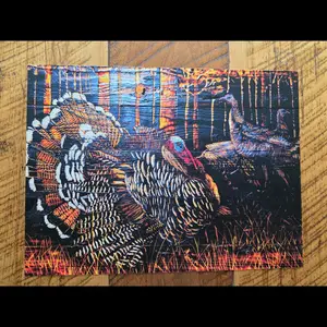 Wild Turkey Print