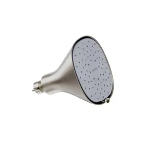 Canopy Filtered Showerhead in Brushed Nickel