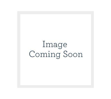 Core Innovations 14" Portable DVD Player