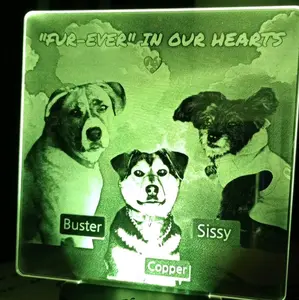 Customizable LED acrylic Plate with Bluetooth speaker bases kid gift