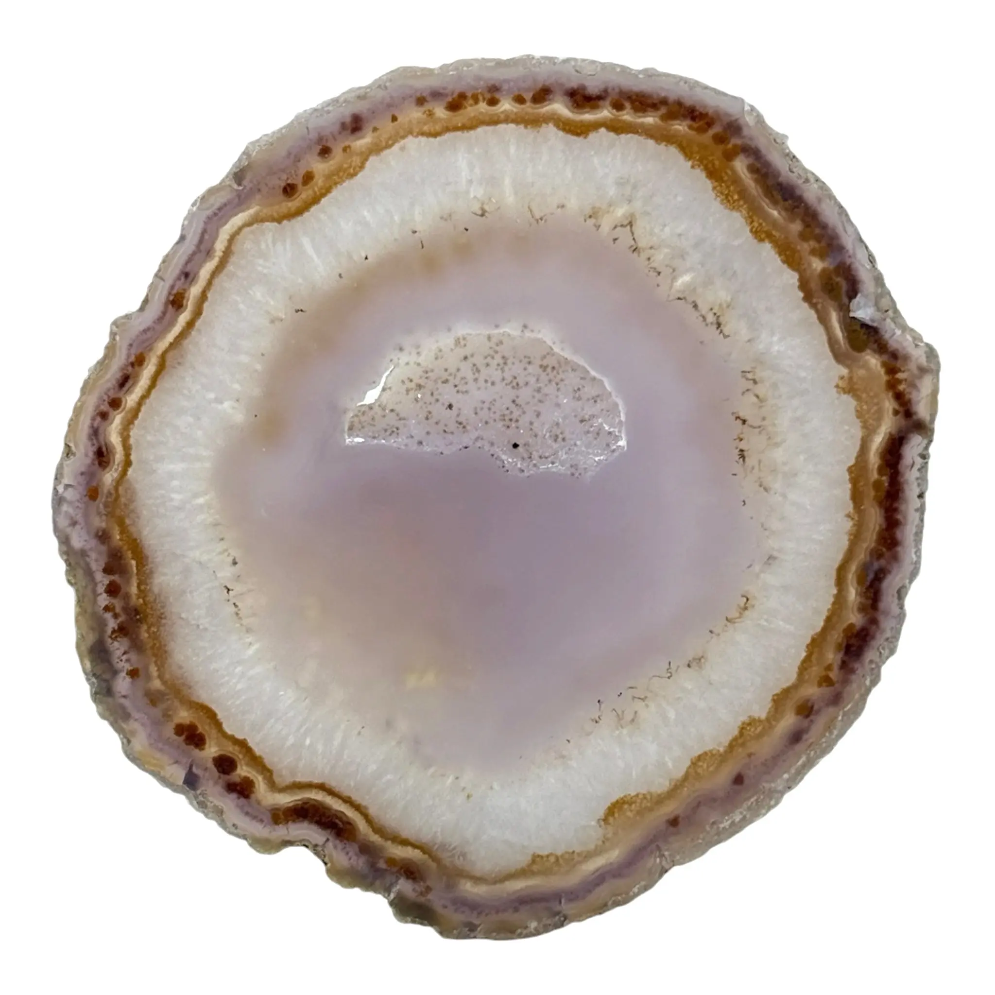 Agate Slice (Large)