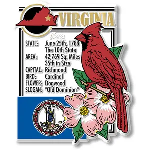 Virginia State Montage Magnet by Classic Magnets, 2.7" x 3.2"