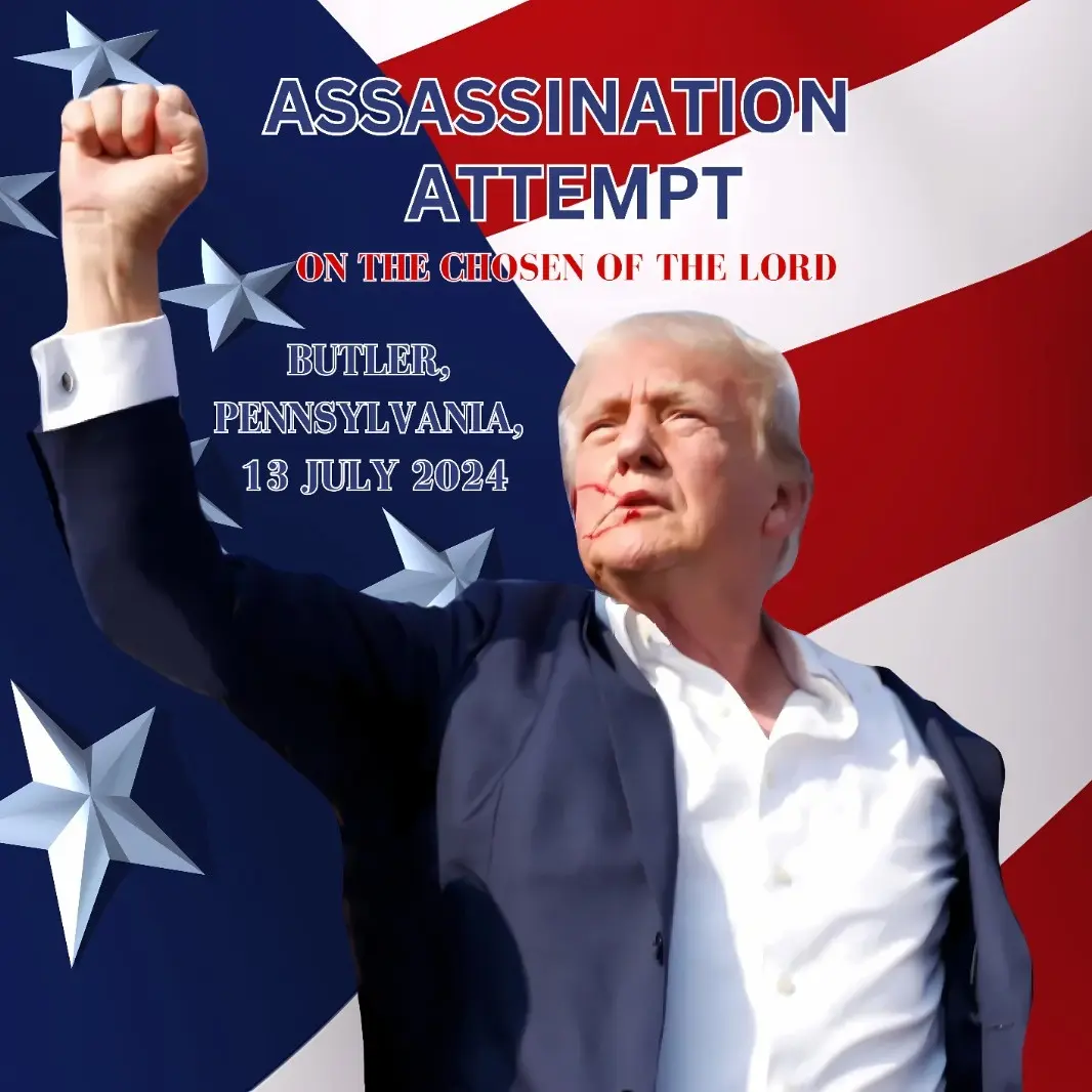 President Trump Assassination Attempt Unisex Classic Cotton T-Shirt Plain Menswear Streetwear