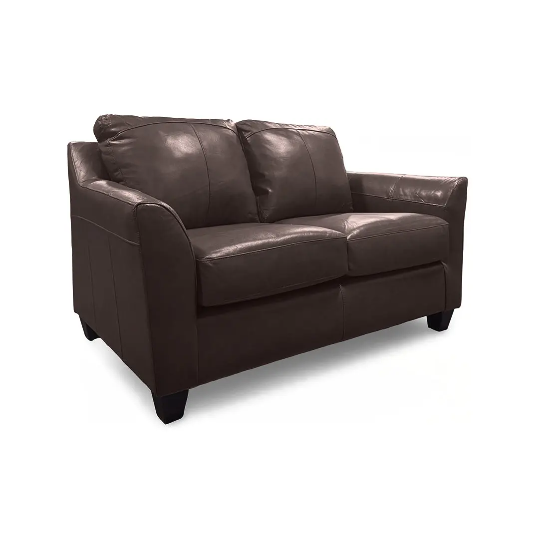 Josh Leather Loveseat