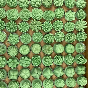 Cactus Tea light Candles Gift