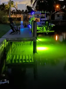 Saltwater Approved, Self Cleaning, Barnacle Burner Underwater Fish Light Bright Green 7,900 Lumens, Single Dock Light Complete Kit, 50' Lamp Cable, Automatic Dusk to Dawn, Easy Self Installation