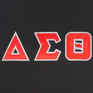 Delta Sigma Theta Ringer T-Shirt Black