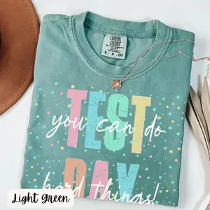Comfort Colors Testing Day Shirt, State Testing Shirt, Teacher Life, Teachers Test Day, Confetti Teacher Shirts, You Can Do Hard Things T-shirt