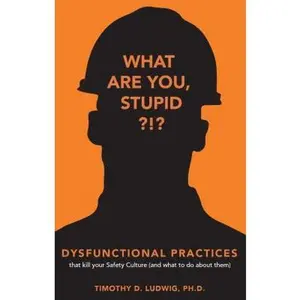 USED-Dysfunctional Practices: that kill your Safety Culture (and what to do about them) by Timothy D Ludwig Ph.D. (Paperback)