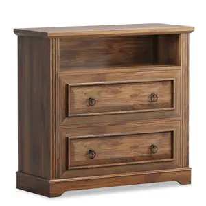File Cabinet with Printer Stand and 2 Drawers Brown