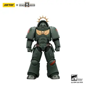 JOYTOY  Warhammer  40k  1/18  Action Figure Game Edition  Dark Angels Heavy Intercessor with Heavy Bolt Rifle and Bolt Pistol JT03684