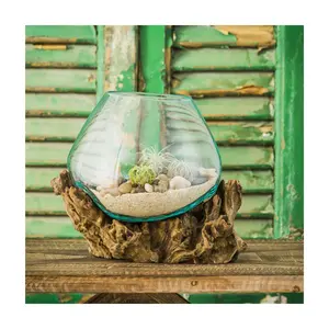 Evergreen Medium Glass Planter on Driftwood