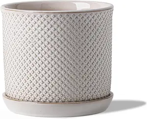 6 Inch  Pot: Ceramic Planter with Drainage Hole & Saucer for Indoor Outdoor  - Flowerpot with Bonded Tray for Home Office - Beaded Embossed Style, Cream White