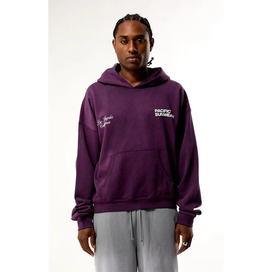 Pacsun Men's Purple Terrain Hoodie