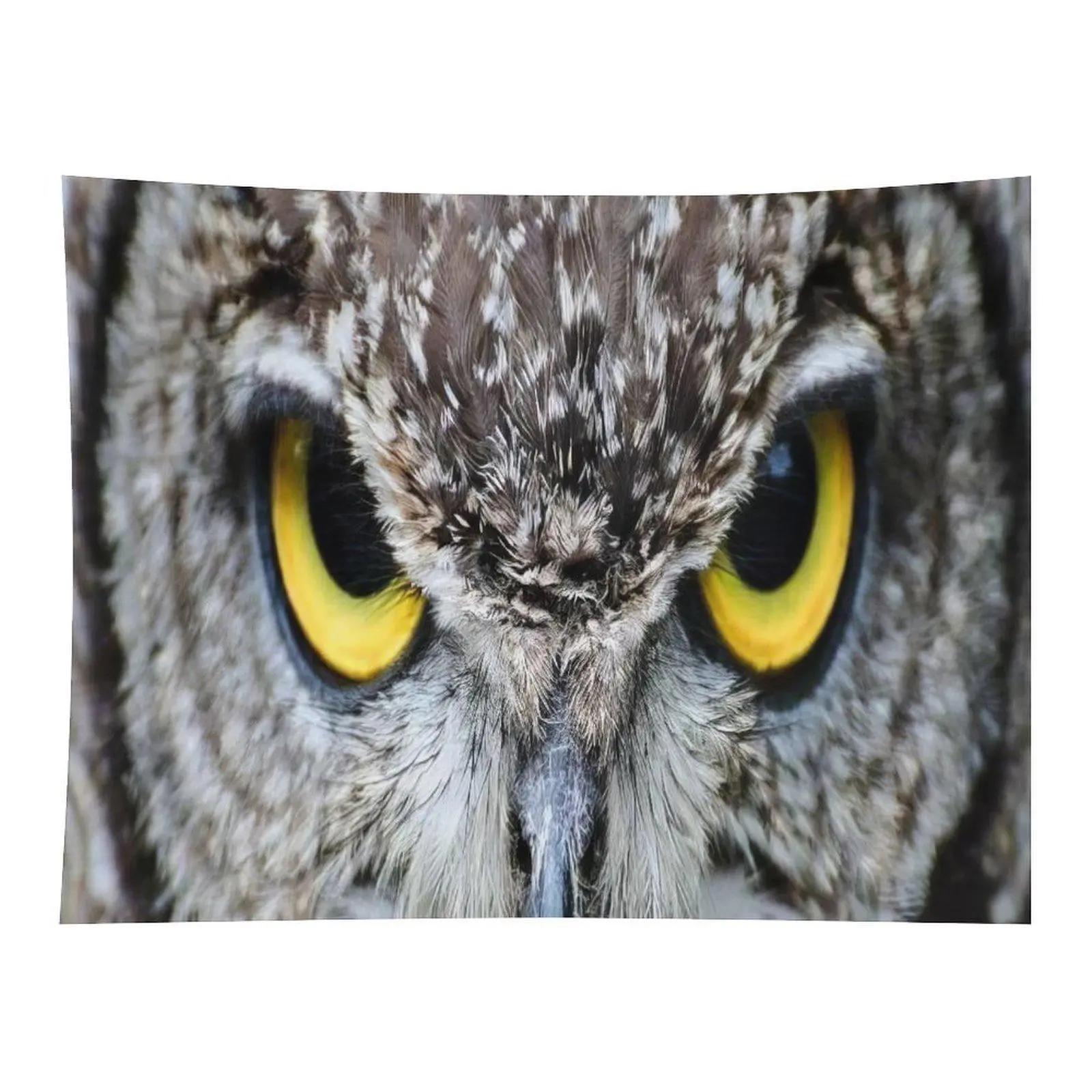 Intense Owl Close‑up Portrait Wall Tapestry Striking Bright Yellow Owl Eyes Wildlife Animal Art for Mysterious Nature Theme Room Decor