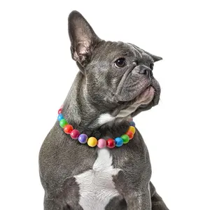 Rainbow Beaded Dog Collar – Colorful Adjustable Decorative Collar, Suitable for Small, Medium, and Large Dogs: Pet Supplies