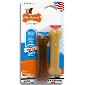 Nylabone Puppy Chew Twin Pack
