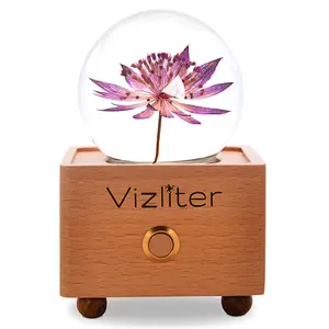 Vizliter Bluetooth Speaker Crystal Ball 65mm LED Lighting Premium Preserved Natural Flower with Wood Base Never Withered Eternal Night Light Great Masterwort Roma Audio Portable Rechargeable Wireless Smartphone Usb