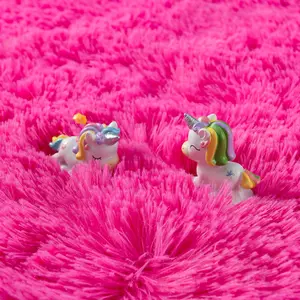 Soft Fluffy Area Rugs for Bedroom Kids Room Plush Shaggy Nursery Rug Furry Throw Carpets for Boys Girls, College Dorm Fuzzy Rugs Living Room Home Decorate Rug, 2ft x 3ft, Hot Pink