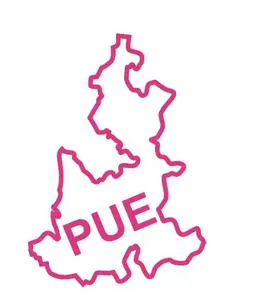 Mexican State Map Outline Puebla Vinyl Decal Sticker UV & Waterproof Bumper Window Laptop Automotive Water Bottle Gift accessories – PINK 6"