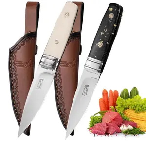 Stainless Steel Household Fruit Knife, 1 Count Sharp and Durable Steak Knife, Suitable for Cutting Meat, Fruits and Vegetables, Stainless Steel Knives