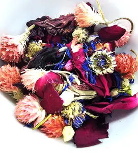Organic Sundried Autumn Hamster Safe Flowers for Enrichment