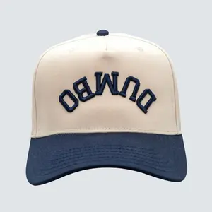 Dumbo Brooklyn Structured Snapback Hat with Upside Down Design and "DUMBO" Embroidery for Urban Style Enthusiasts