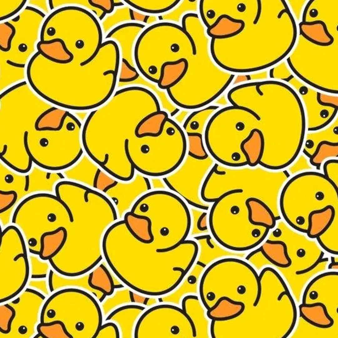 One(1) Duck