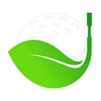 Clean Green Golf Balls