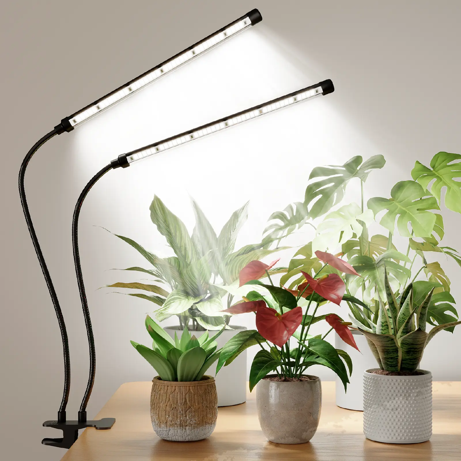 Bamworld Adjustable Dual-Head Clip-On LED Grow Light - Gooseneck Design, 42 Full Spectrum LEDs, 3 Modes, 10 Levels, Timer, USB-Powered for Seedlings, Succulents, Consistent Lighting Schedule, Indoor Lighting