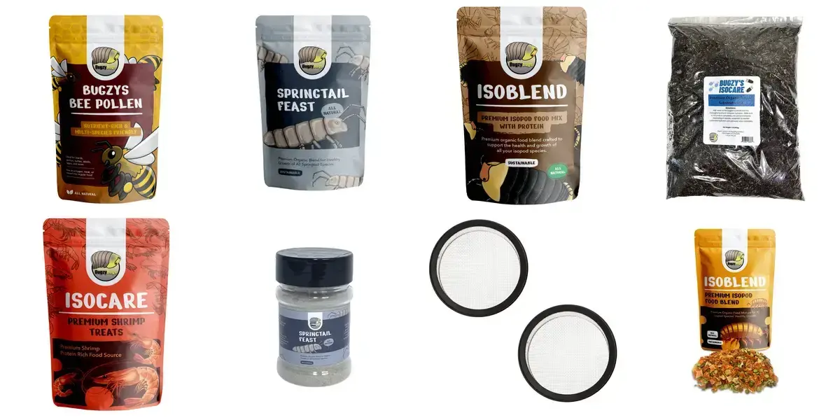 background preload poster image 