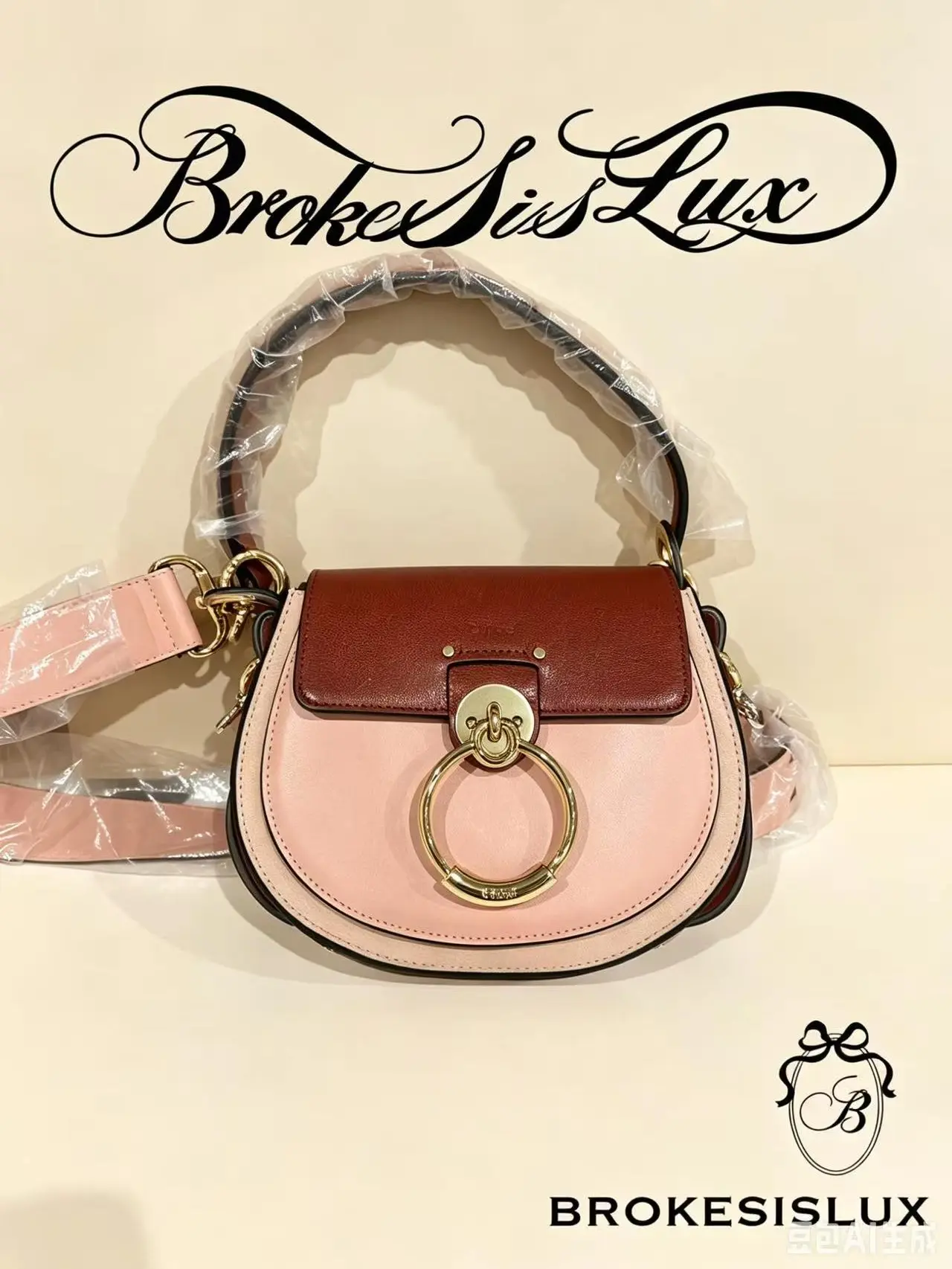 Pre-owned Chloé Small Tess Bi Color Pink & Brown Leather Saddle Bag | Gold Ring Hardware, Wide Shoulder Strap