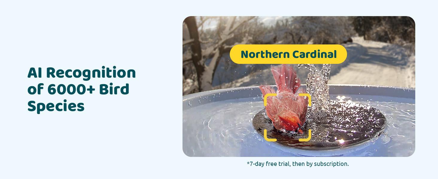 Birdfy Smart Bird Bath with Camera Solar Powered & Fountain, Dual-Lens Camera for Wildbird Watching, Auto Capture Bird Videos & Motion Detection, SummerVibes, Petlovers Birdfy Smart Bird Bath with Camera Solar Powered & Fountain, Dual-Lens Camera for Wildbird Watching, Auto Capture Bird Videos & Motion Detection, SummerVibes, Petlovers