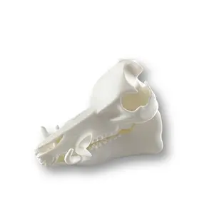 3D Printed Feral Hog Skull Mirror Hanger