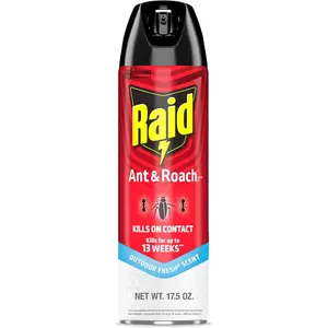Ant & Roach Killer Spray For Listed Bugs, Keeps Killing for 13 Weeks, Outdoor Fresh Scent, 17.5 oz